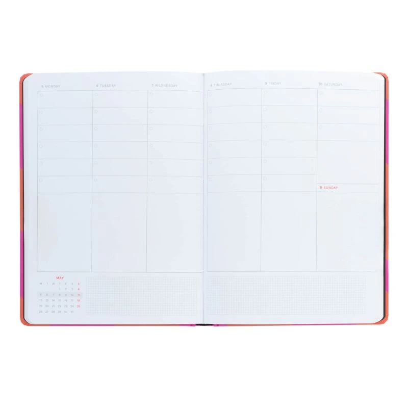 Agenda Anual 2025 Color Fun Start Taking Action Semana Vista A5 5 Agenda Anual 2025 Color Fun Start Taking Action Semana Vista A5 - Imagen 3