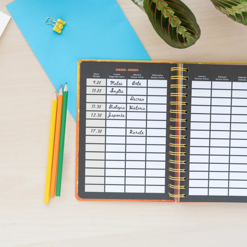 Agenda Escolar 2024/2025 Dragon Ball Semana Vista 12 Meses A5 7 Agenda Escolar 2024/2025 Dragon Ball Semana Vista 12 Meses A5 - Imagen 5
