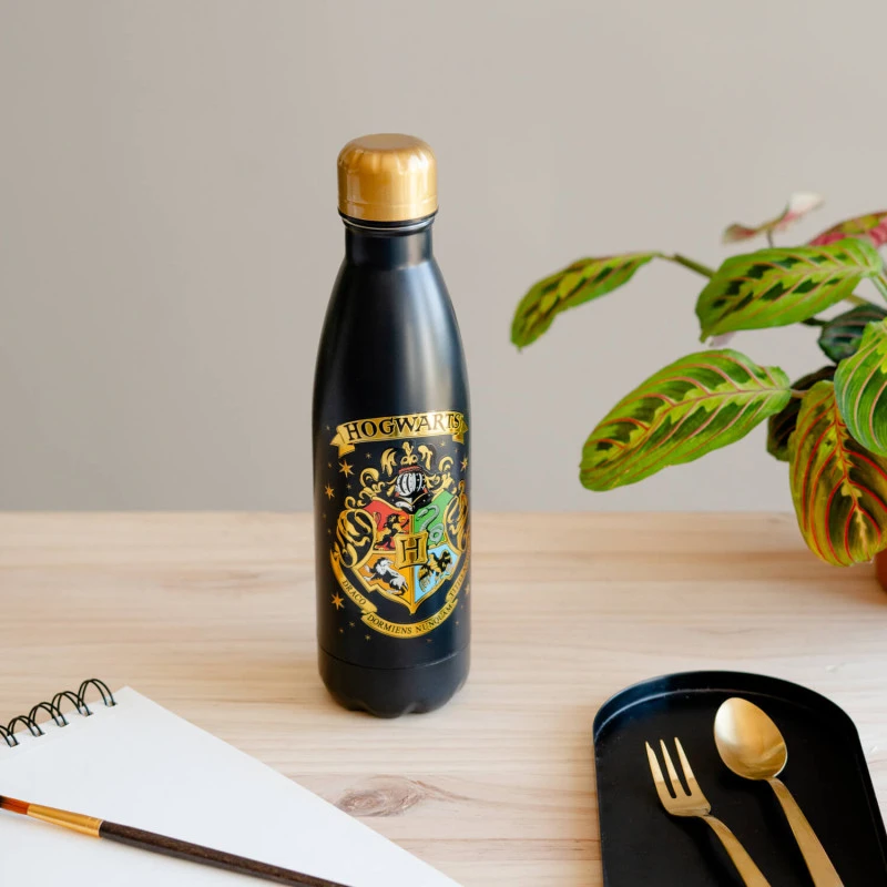 Botella Metalica Harry Potter Hogwarts 5 Botella Metalica Harry Potter Hogwarts - Imagen 3