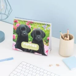 Calendario De Escritorio 2025 Dogs & Puppies -Eric Ventas calendario de escritorio 2025 dogs puppies 4