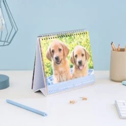 Calendario De Escritorio 2025 Dogs & Puppies -Eric Ventas calendario de escritorio 2025 dogs puppies 5