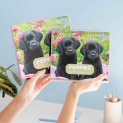 Calendario De Escritorio 2025 Dogs & Puppies -Eric Ventas calendario de escritorio 2025 dogs puppies 7