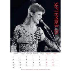 Calendario De Pared 2025 David Bowie A3 -Eric Ventas calendario de pared 2025 david bowie a3 2