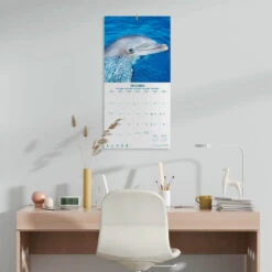 Calendario De Pared 2025 Delfines 9 Calendario De Pared 2025 Delfines -Eric Ventas calendario de pared 2025 delfines 3