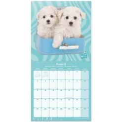 Calendario De Pared 2025 Studio Pets Caniches -Eric Ventas calendario de pared 2025 studio pets caniches 2