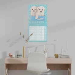 Calendario De Pared 2025 Studio Pets Caniches -Eric Ventas calendario de pared 2025 studio pets caniches 3
