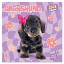 Calendario De Pared 2025 Studio Pets Perros Salchicha