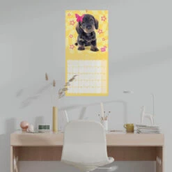Calendario De Pared 2025 Studio Pets Perros Salchicha -Eric Ventas calendario de pared 2025 studio pets dachshund 3