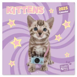 Calendario De Pared 2025 Studio Pets Kittens