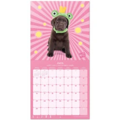Calendario De Pared 2025 Studio Pets Labrador -Eric Ventas calendario de pared 2025 studio pets labrador 2