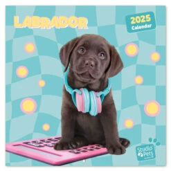 Calendario De Pared 2025 Studio Pets Labrador