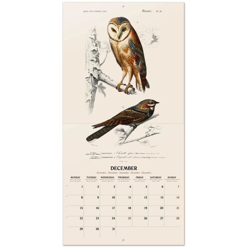 Calendario De Pared 2025 Vintage Animals 5 Calendario De Pared 2025 Vintage Animals - Imagen 3