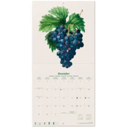 Calendario De Pared 2025 Vintage Fruits -Eric Ventas calendario de pared 2025 vintage fruits 2