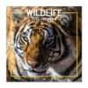 Calendario De Pared 2025 Wildlife -Eric Ventas calendario de pared 2025 wildlife