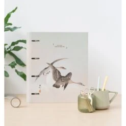 Carpeta 4 Anillas Premium Japan -Eric Ventas carpeta 4 anillas premium japan 6