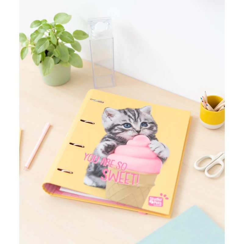 Carpeta 4 Anillas Studio Pets Cat Lovely Kittens 6 Carpeta 4 Anillas Studio Pets Cat Lovely Kittens - Imagen 4