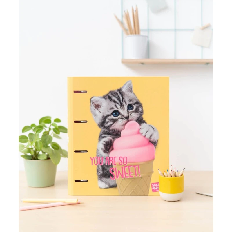 Carpeta 4 Anillas Studio Pets Cat Lovely Kittens 9 Carpeta 4 Anillas Studio Pets Cat Lovely Kittens - Imagen 7