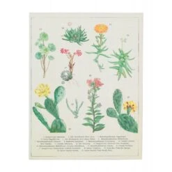 Carpeta A4 Con Pinza Botanical Cacti -Eric Ventas carpeta a4 con pinza botanical cactus 2