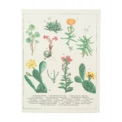 Carpeta A5 Con Pinza Botanical Cacti -Eric Ventas carpeta a5 con pinza botanical cactus 2