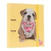 Carpeta Escolar 2 Anillas Studio Pets Dogs -Eric Ventas carpeta escolar 2 anillas studio pets dogs