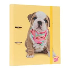 Carpeta Escolar 2 Anillas Studio Pets Dogs