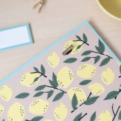 Carpeta Escolar 4 Anillas Fresh Start -Eric Ventas carpeta escolar 4 anillas fresh start 5