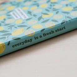 Carpeta Escolar Solapas Fresh Start -Eric Ventas carpeta escolar solapas fresh start 4