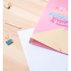 Carpeta Gomas A4 Polipropileno Carouge Blue & Pink Ita -Eric Ventas carpeta gomas a4 polipropileno carouge blue pink ita 3