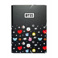 Carpeta Solapas Bt21