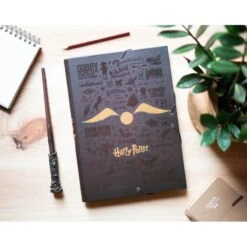 Carpeta Solapas Harry Potter -Eric Ventas carpeta solapas harry potter 3