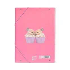 Carpeta Solapas Studio Pets Rabbits 2019 -Eric Ventas carpeta solapas studio pets rabbits 2019 2