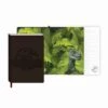 Cuaderno A5 Jurassic Park Velociraptor -Eric Ventas cuaderno a5 jurassic park velociraptor