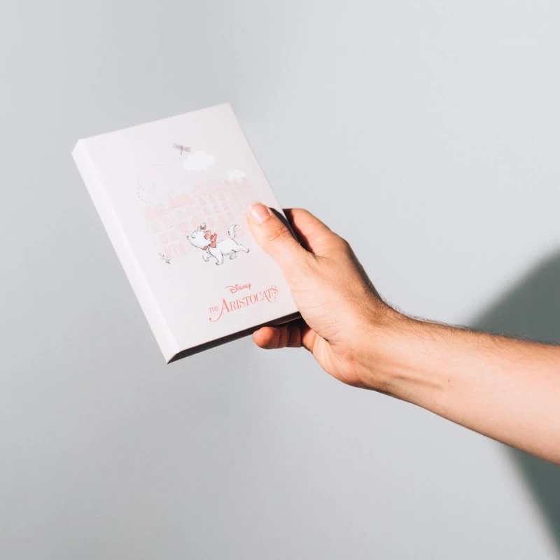Cuaderno Notas Adhesivas Bonjour Marie Los Aristogatos Disney 5 Cuaderno Notas Adhesivas Bonjour Marie Los Aristogatos Disney - Imagen 3