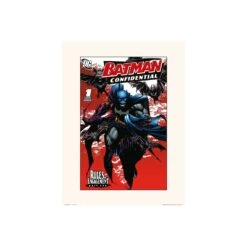 Lamina 30X40 Cm Dc Comics Batman Confidential 1