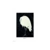 Lamina 30X40 Cm Egret In The Rain -Eric Ventas lamina 30x40 cm egret in the rain