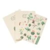 Pack De Cuadernos A6 Botanical Cacti 1 Pack De Cuadernos A6 Botanical Cacti -Eric Ventas pack de cuadernos a6 botanical cacti kokonote