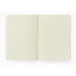 Pack De Cuadernos A6 Botanical Cacti 12 Pack De Cuadernos A6 Botanical Cacti -Eric Ventas pack de cuadernos a6 botanical cacti kokonote 2