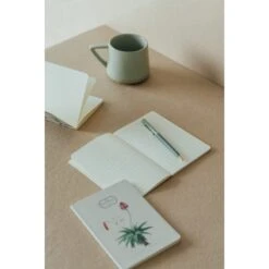 Pack De Cuadernos A6 Botanical Cacti 14 Pack De Cuadernos A6 Botanical Cacti -Eric Ventas pack de cuadernos a6 botanical cacti kokonote 4