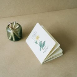 Pack De Cuadernos A6 Botanical Wild Flowers -Eric Ventas pack de cuadernos a6 botanical wild flowers 6