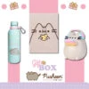 Pusheen The Cat Gift Box -Eric Ventas pack pusheen gift box