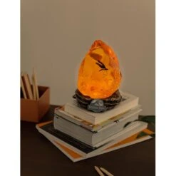 Pack Regalo Jurassic Park Must Have -Eric Ventas pack regalo jurassic park must have 6