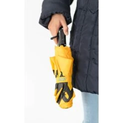 Pack Dias De Lluvia Snoopy -Eric Ventas pack snoopy dias de lluvia 2