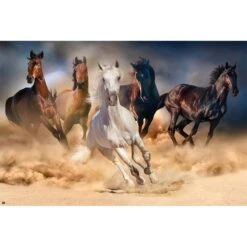 Poster Caballos Salvajes