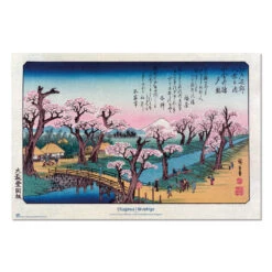 Poster Cherry Trees In Bloom On The Embankment At Koganei Hiroshige