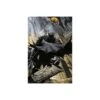 Poster Dc Comics Batman Gargoyle Of Gotham -Eric Ventas poster dc comics batman gargoyle
