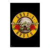 Poster Guns N Roses -Eric Ventas poster guns n roses