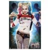 Poster Harley Quinn Escuadron Suicida DC Comics -Eric Ventas poster harley quinn escuadron suicida dc comics