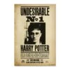 Poster Harry Potter Wanted: Indeseable Numero 1 -Eric Ventas poster harry potter indeseable numero 1