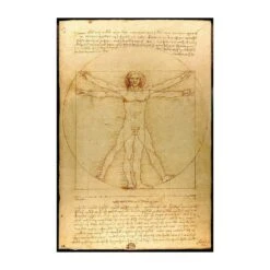 Poster Hombre De Vitruvio Leonardo Da Vinci