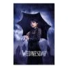 Poster Miercoles Wednesday Umbrella